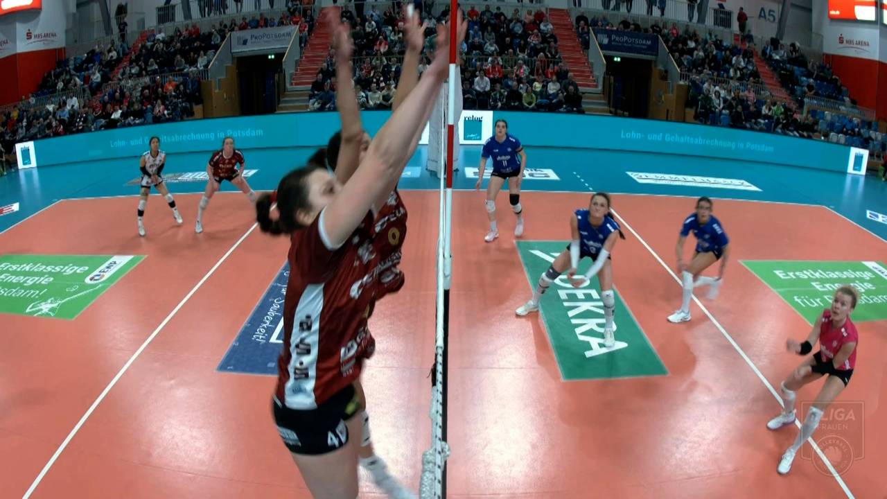 Volleyball Bundesliga: Potsdam schlägt Wiesbaden dank Block und Aufschlag klar