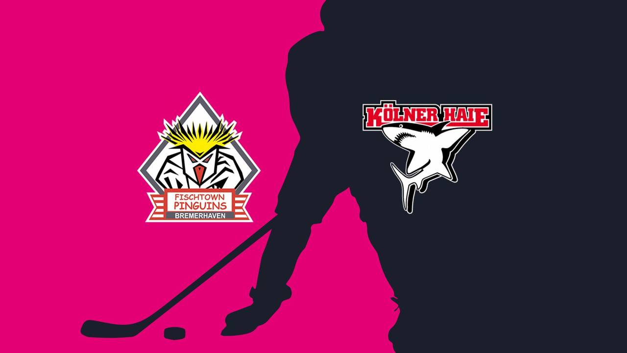 Pinguins Bremerhaven - Kölner Haie: Tore und Highlights | PENNY DEL