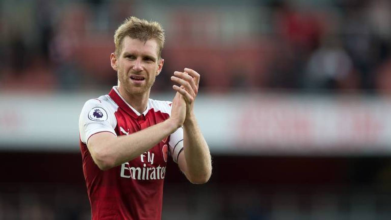 Mertesacker: Ich war ein Panikkauf