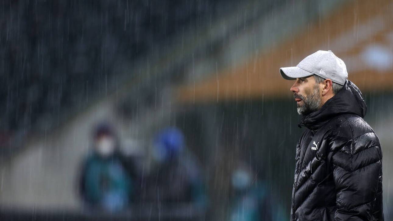 Bruch zwischen Rose und Gladbach?