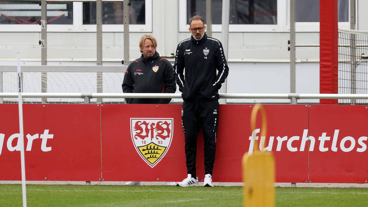 Freifahrtschein für Matarazzo?