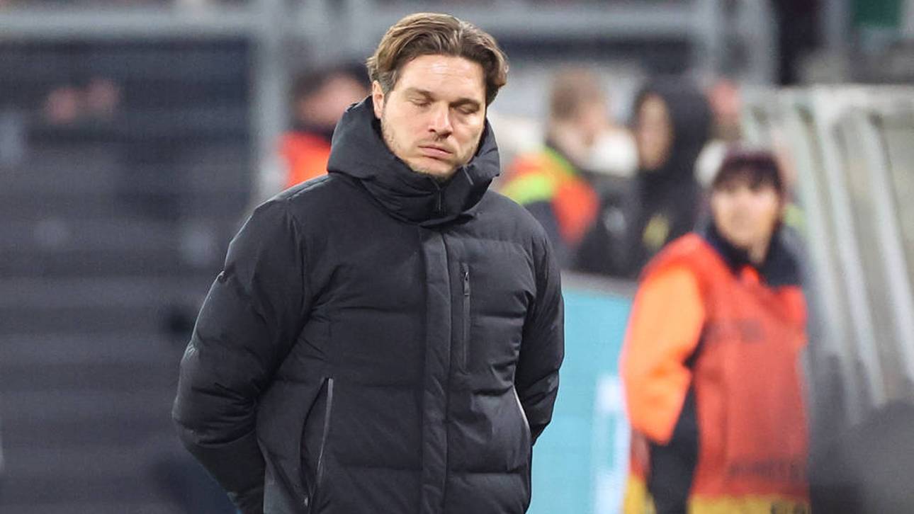 Hoffenheim spottet über Edin Terzic