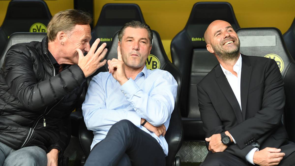 INTERNE LÖSUNGEN: Um nicht ins aktuelle Preistreiben einzusteigen und Transfers zu erzwingen, könnte BVB-Boss Hans-Joachim Watzke auch einen anderen Weg gehen: Die Millionen sauber stapeln und unters Kopfkissen legen. Dann auf interne Lösungen bauen und in aller Ruhe abwarten