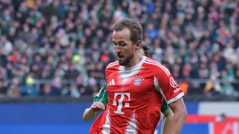 Les Ferdinand zeigt sich von den Qualitäten von Harry Kane begeistert. Für den ehemaligen Tottenham-Torjäger ist der Bayern-Star der kompletteste Mittelstürmer der Welt und bereit für die anstehende Weltmeisterschaft.