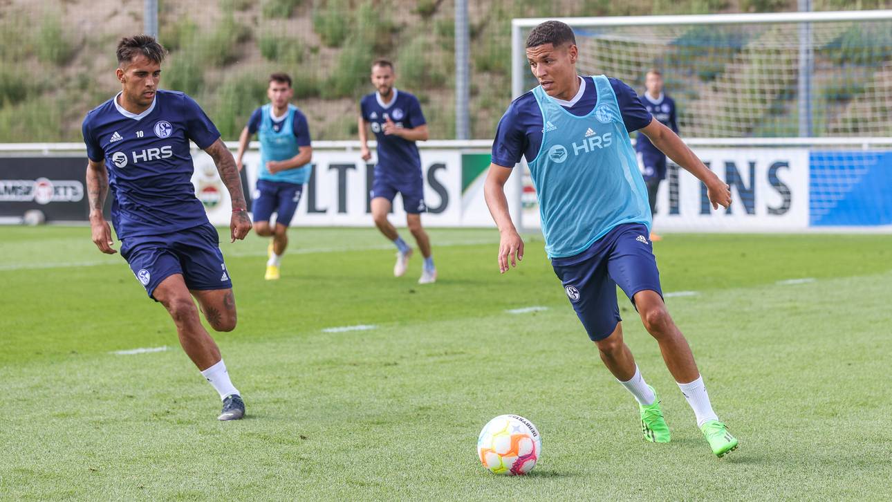 Harit-Abschied? Schalke gibt Update