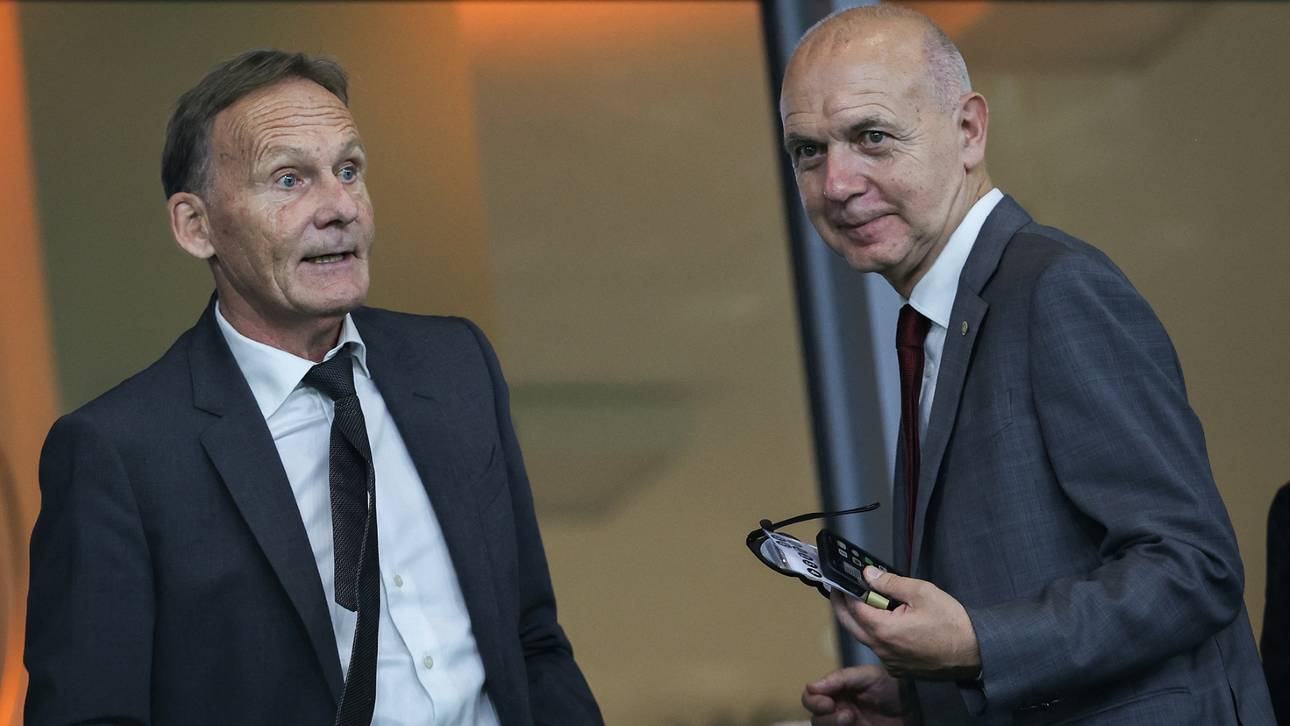 Watzke teilt gegen Politiker aus