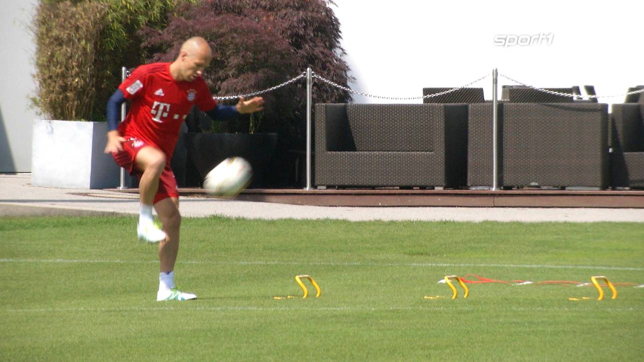 Robben und Badstuber im Training