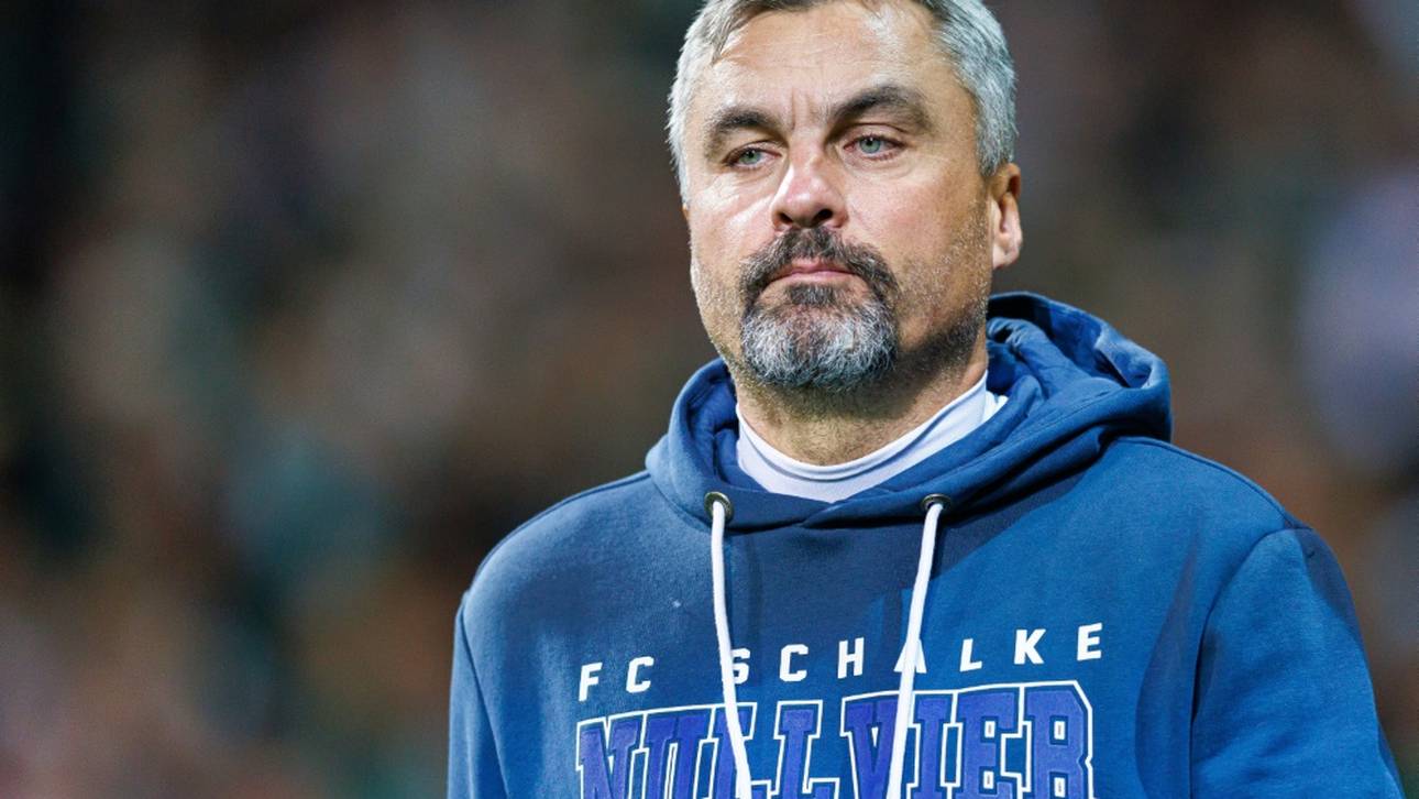 Reis stärkt Schalke-Team