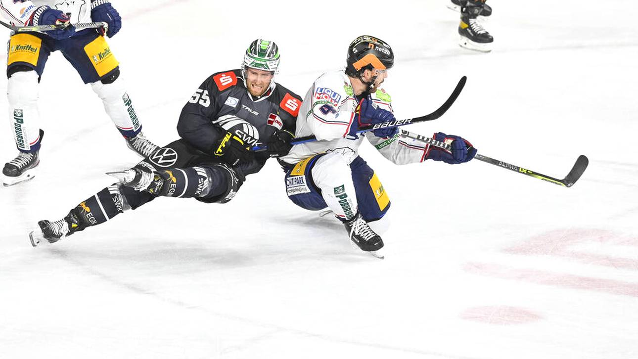 Pinguine verpassen Eisbären Abreibung
