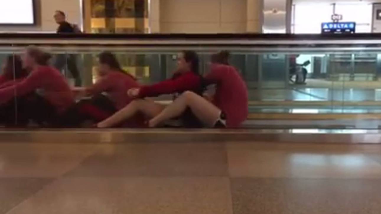 Schwimmer machen Flughafen unsicher