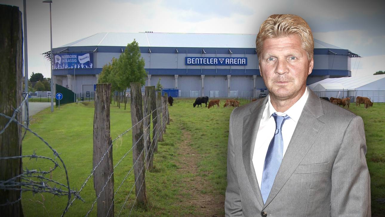 Effenberg „soll Spektakel liefern“