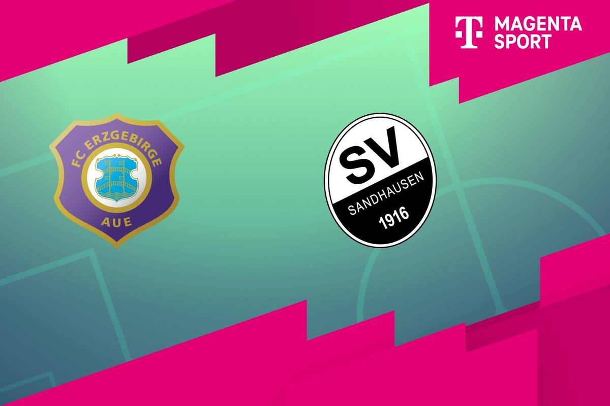FC Erzgebirge Aue - SV Sandhausen: Tore und Highlights | 3. Liga