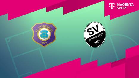 FC Erzgebirge Aue - SV Sandhausen: Tore und Highlights | 3. Liga