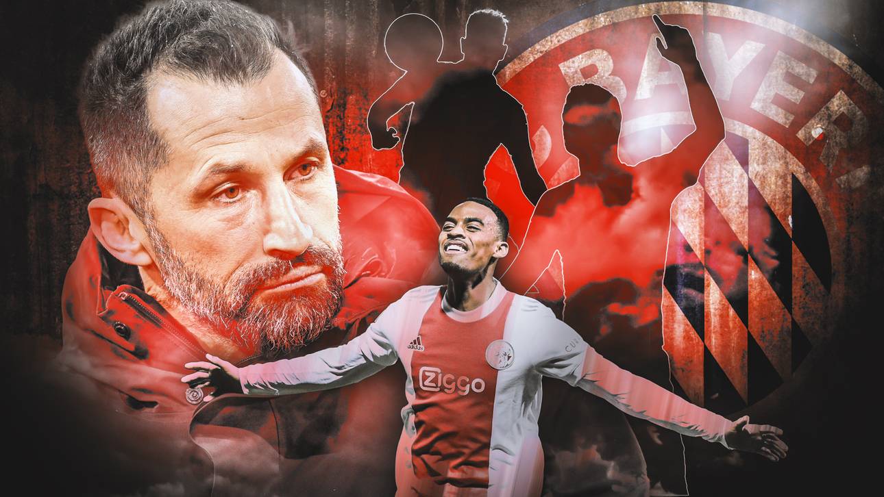 Diese drei Spielertypen sucht Salihamidzic