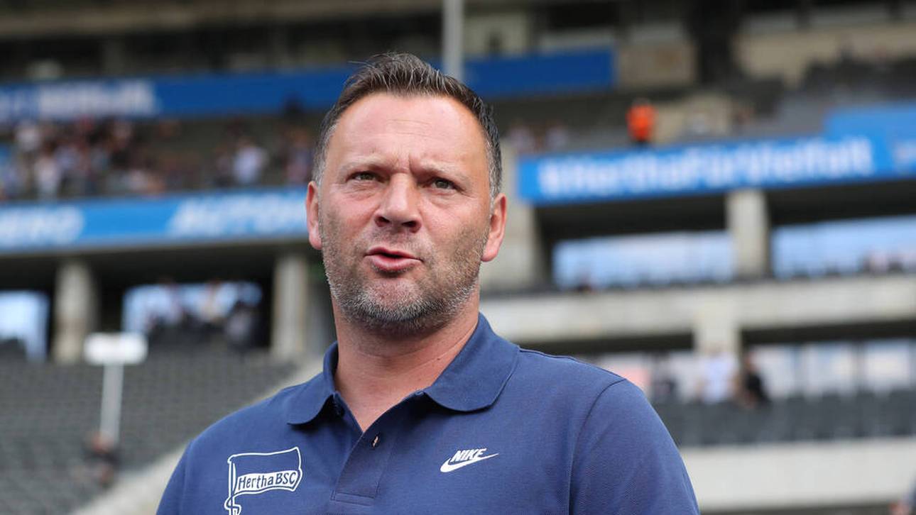 Dardai zählt Star an