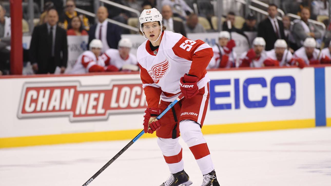 „Eishockey-Deutschland stolz gemacht“