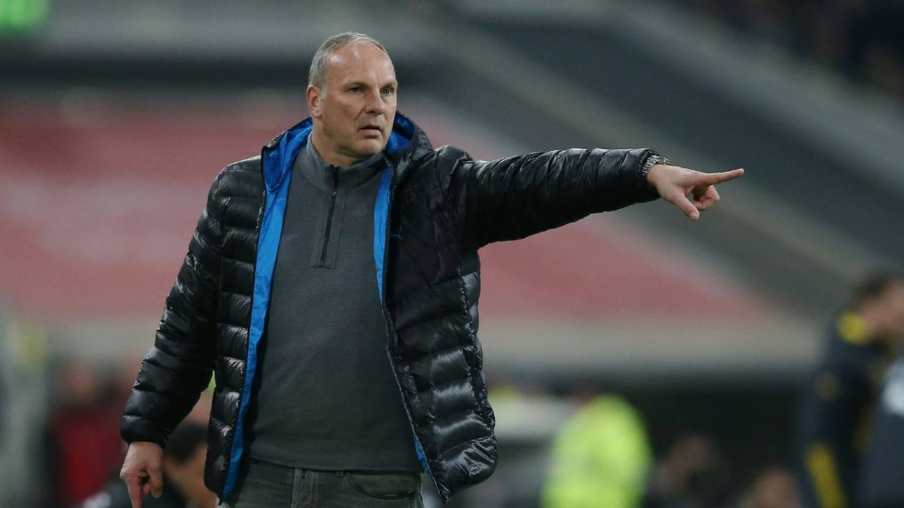 Reck appelliert an Schalke-Profis