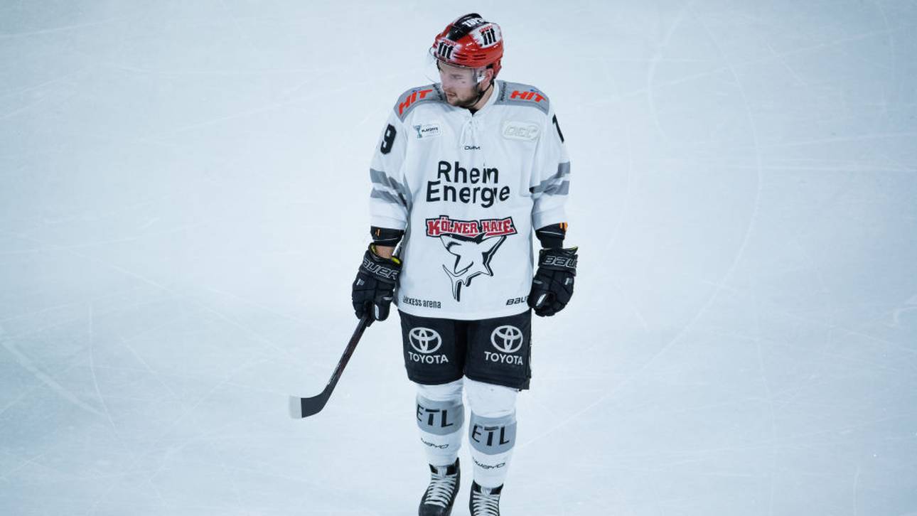 Kölner Haie empfangen Iserlohn