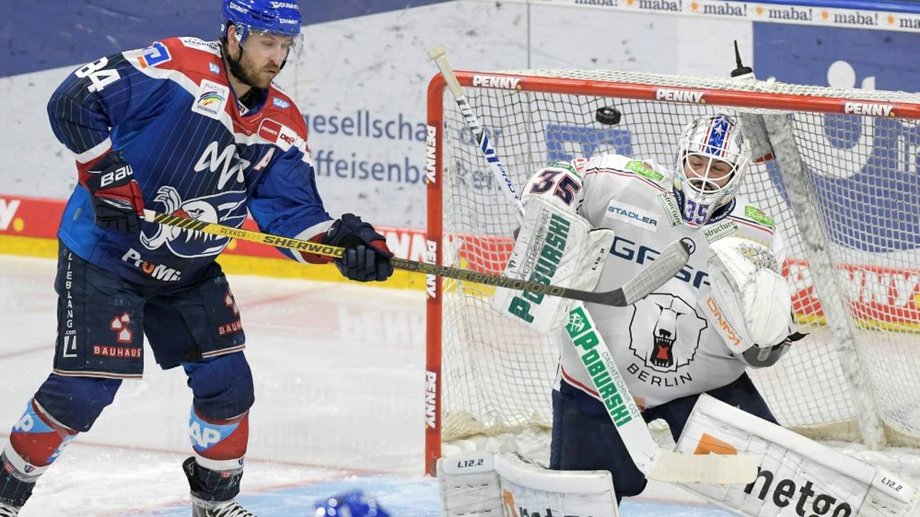 Dann beginnt das DEL-Finale