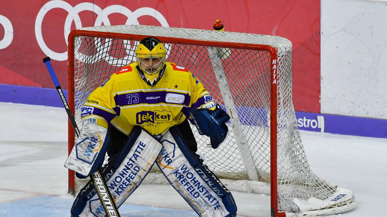 Kapitalerhöhung lässt Pinguine hoffen