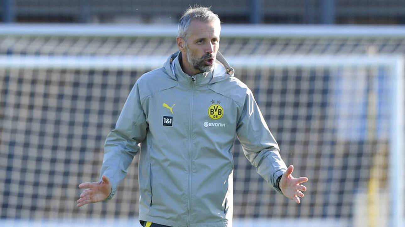 Besondere Behandlung für Rose in Gladbach