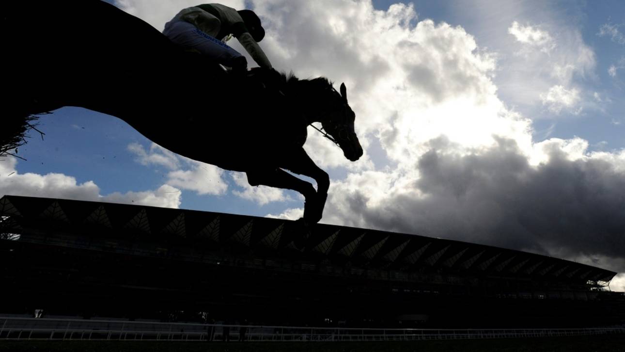 Hansa-Preis für Torquator Tasso