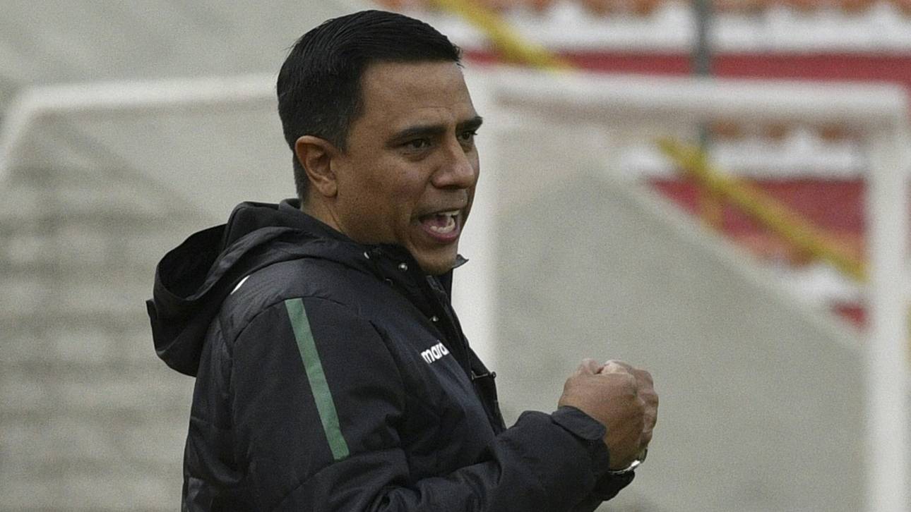 Nationaltrainer per Stellenanzeige gesucht