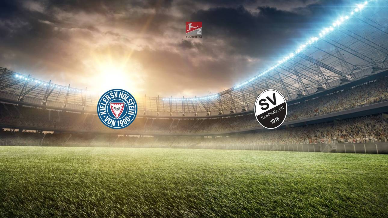 Finden Störche wieder in die Spur?