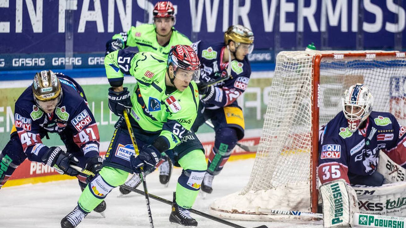 Eisbären üben Revanche