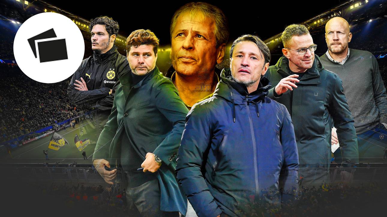 Diese Trainer könnten Favre beerben