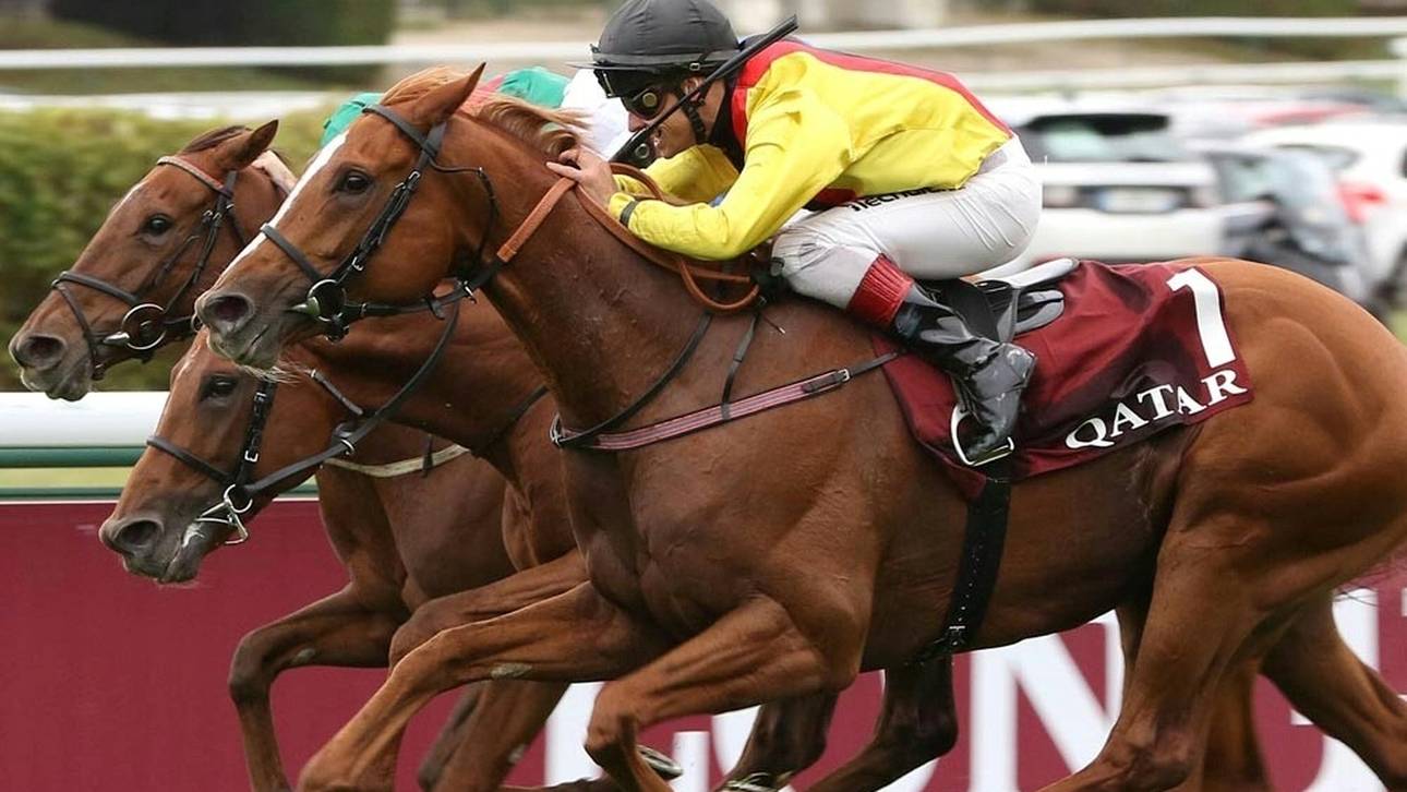 Torquator Tasso ist Galopper des Jahres