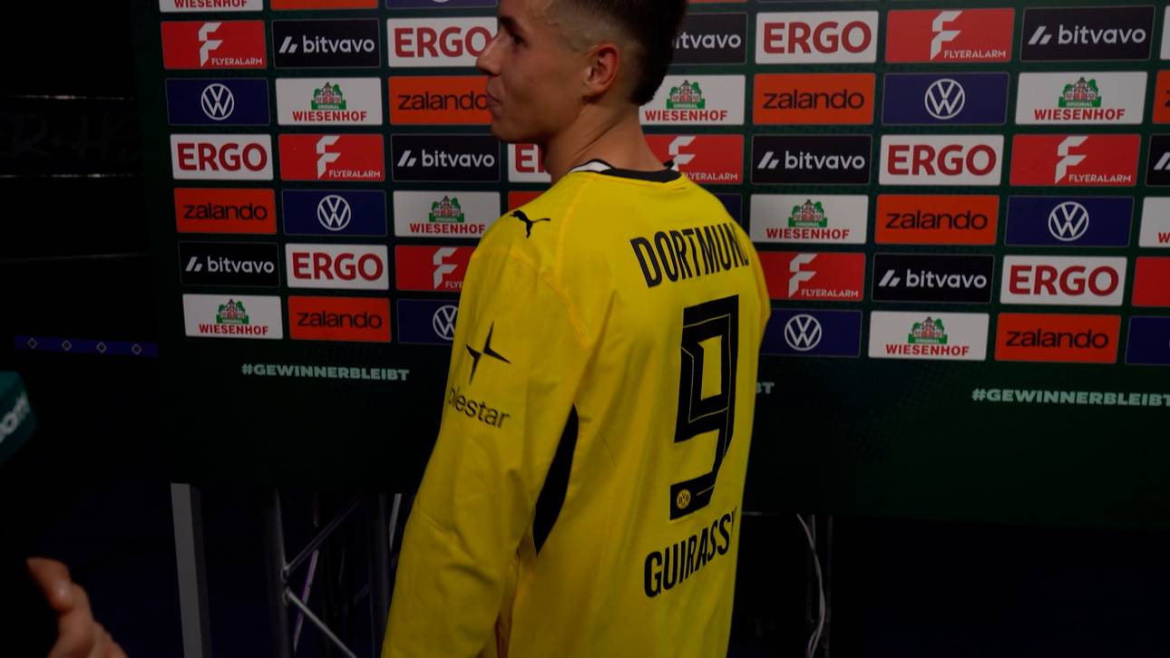 „Connections spielen lassen“: Demirovic-Bruder sichert sich BVB-Trikot