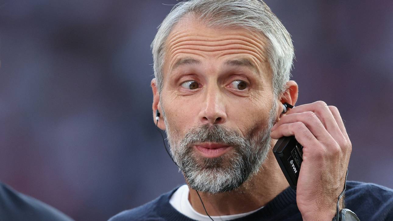 City-Kracher: Rose hat gutes Gefühl