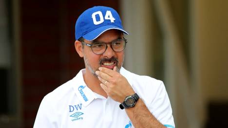 Schalkes Chefcoach David Wagner hat vor zu hohen Erwartungen an die Mannschaft für die neue Saison gewarnt.