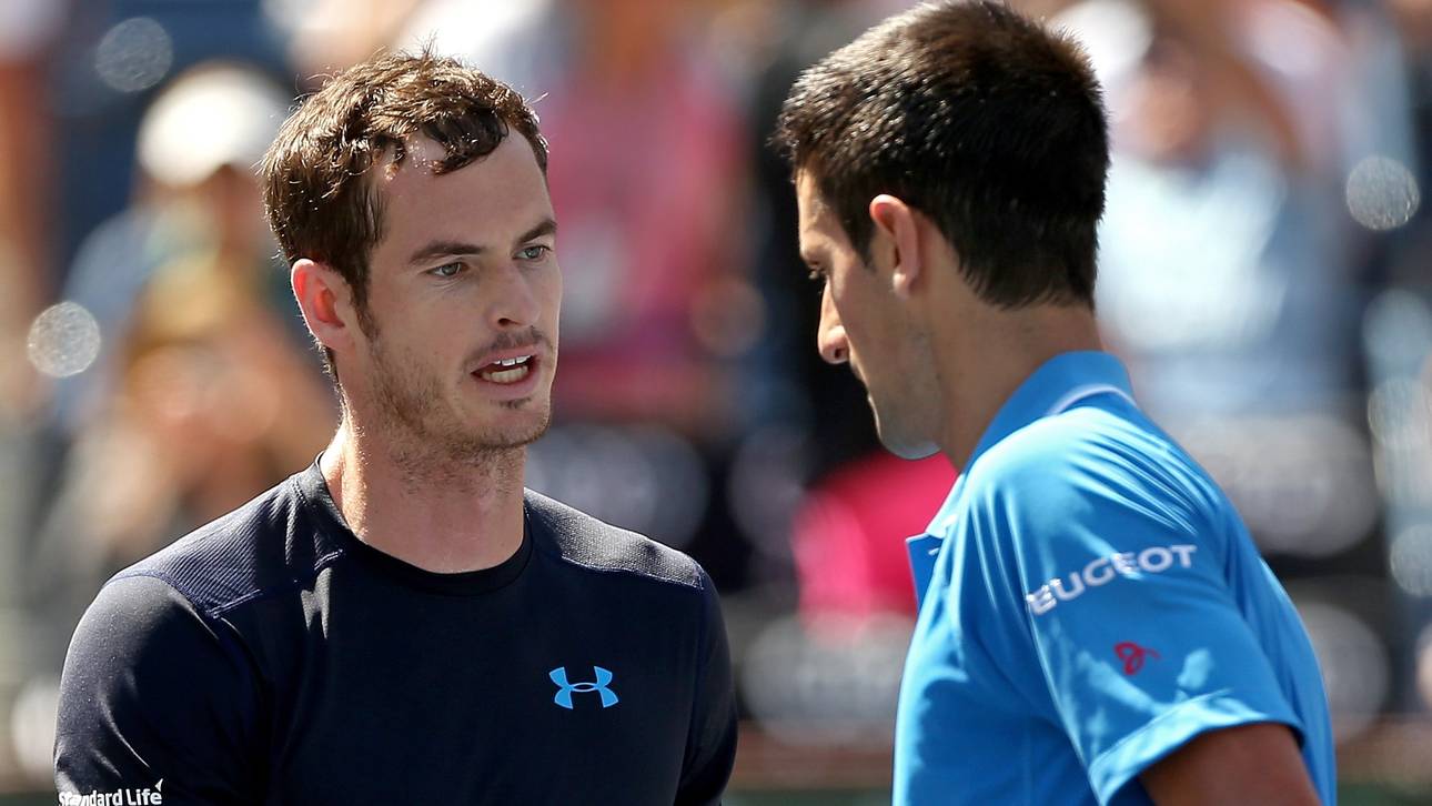 Murray fordert Djokovic im Finale