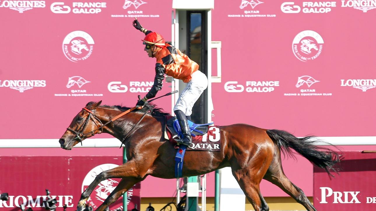 Geography ist der Galopp-Winterfavorit 2023