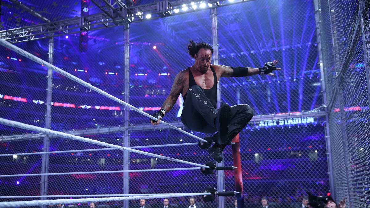 Bei WrestleMania 33 besiegte der Undertaker Shane McMahon im Hell-in-a-Cell-Käfig, ein Kampf, der vor allem für eine Aktion in Erinnerung blieb