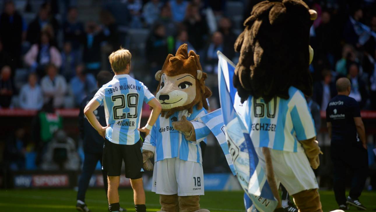 Löwen fahren ins Not-Trainingslager