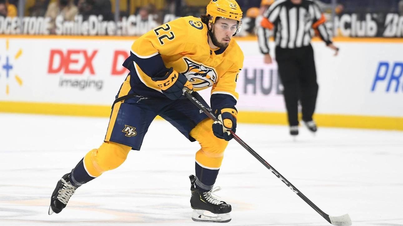 DEL-Vizemeister rüstet auf