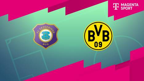 FC Erzgebirge Aue - Borussia Dortmund II: Tore und Highlights | 3. Liga