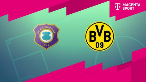 FC Erzgebirge Aue - Borussia Dortmund II: Tore und Highlights | 3. Liga