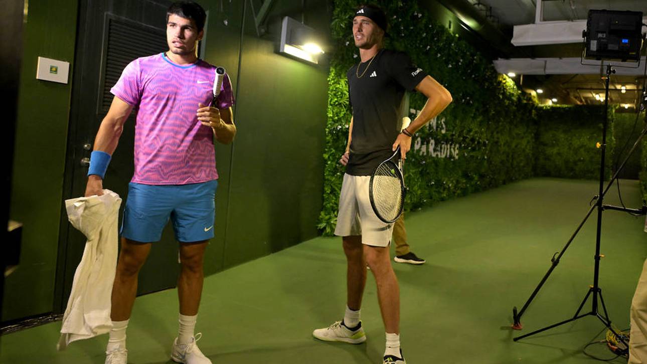 Bienen-Invasion bei Zverev-Match