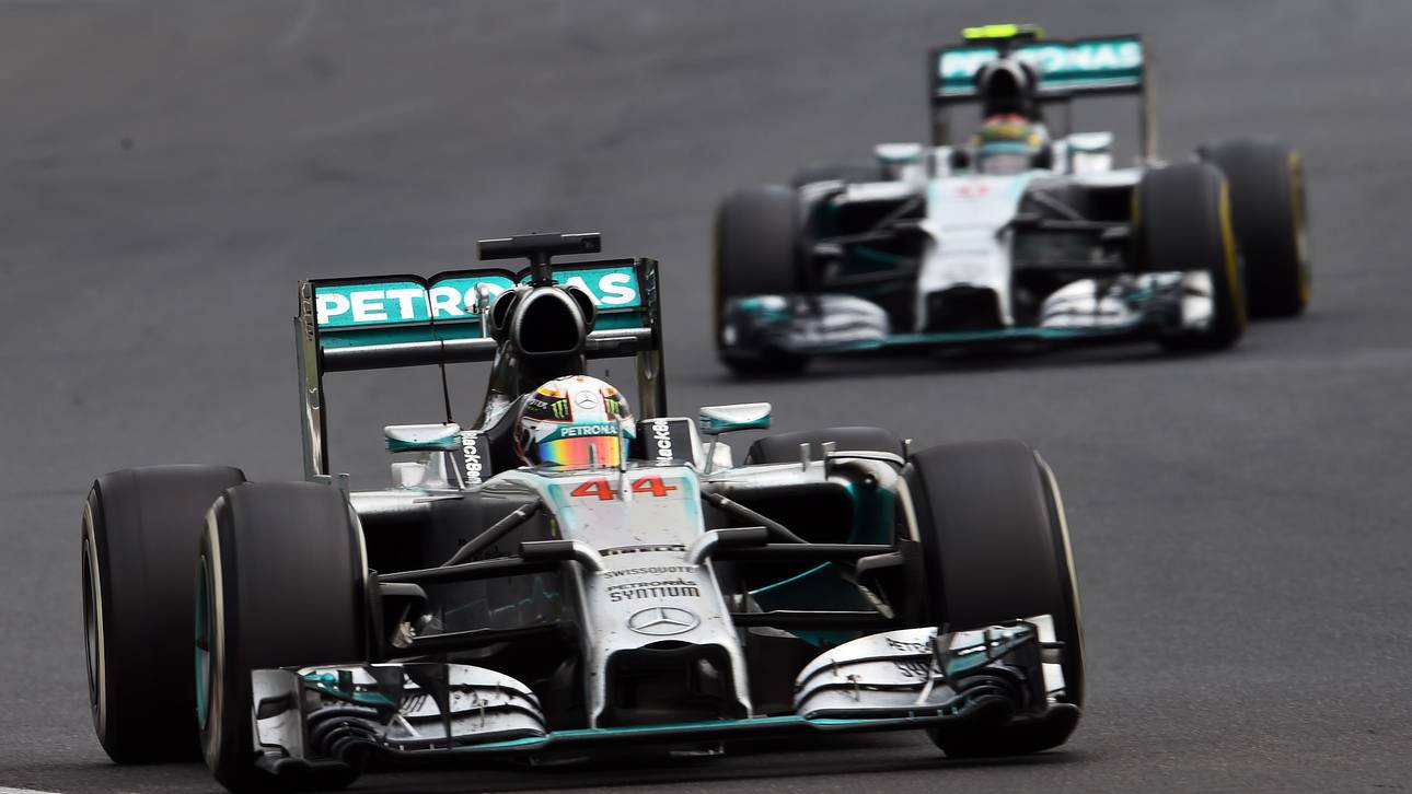 Der Löwe fordert seinen Thron