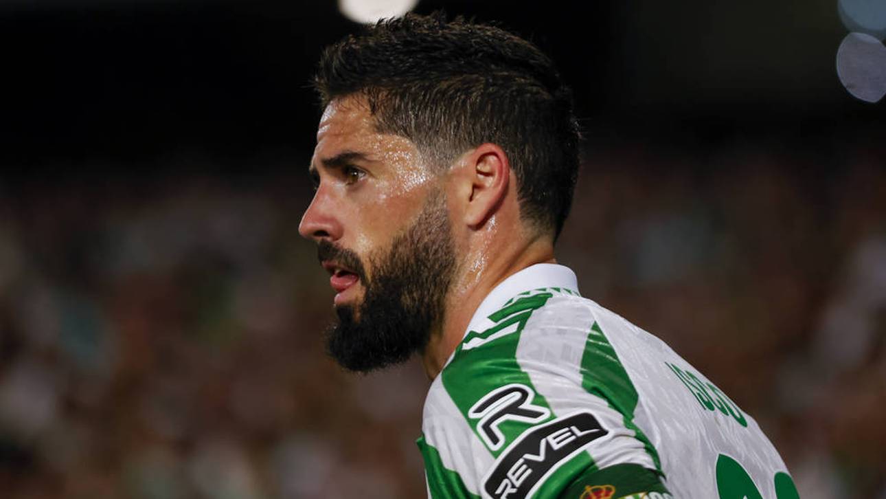 Wie Phoenix aus der Asche