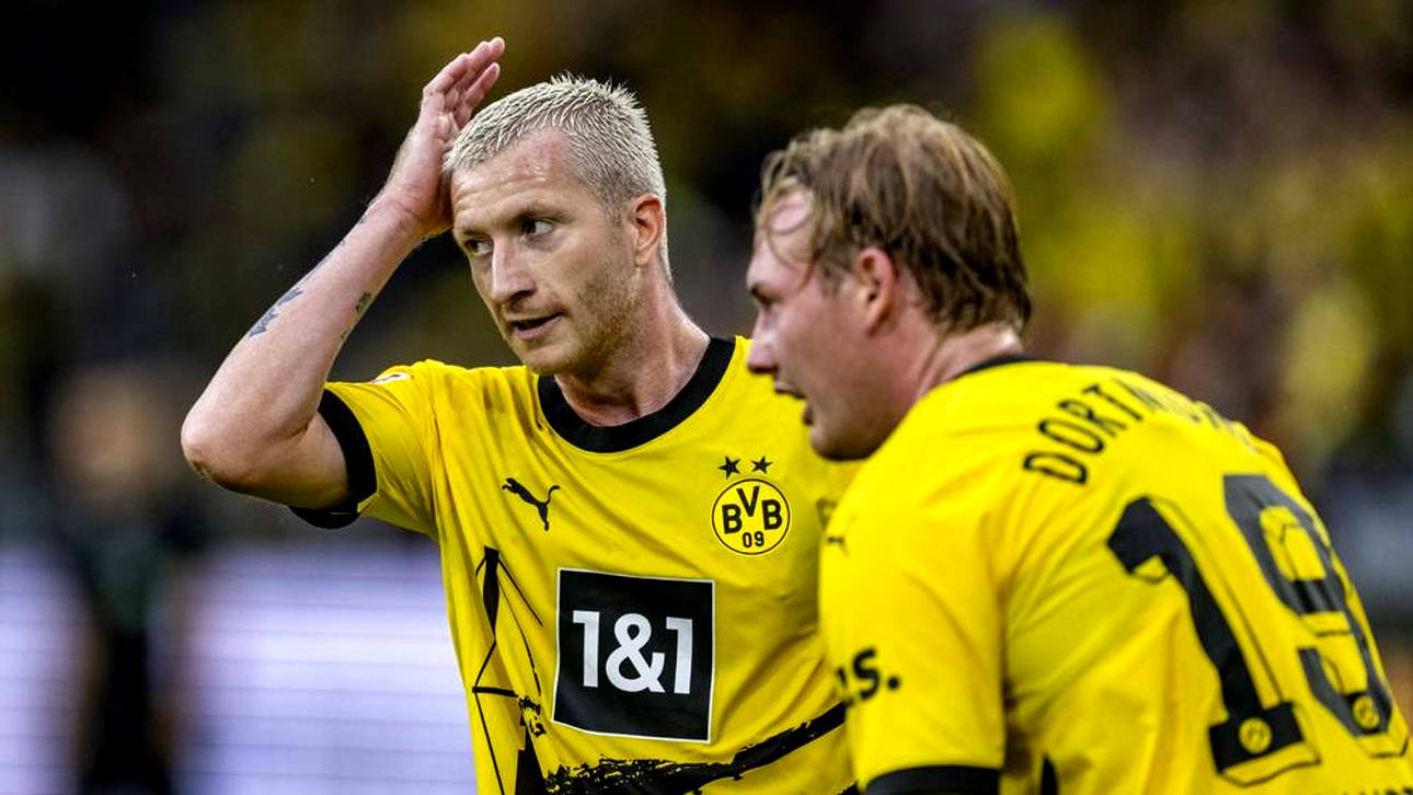 Sechs BVB-Stars melden sich zurück