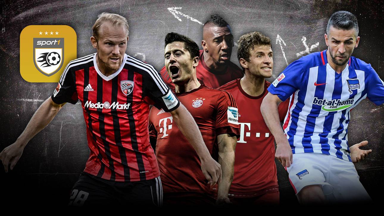 Levels, Ibisevic und das FCB-Trio