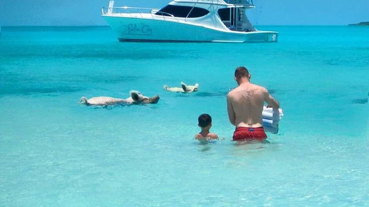 Wayne Rooney verbringt mit der Familie seine Ferien auf den Bahamas und planscht beim Bootsausflug mit Wasserschweinen