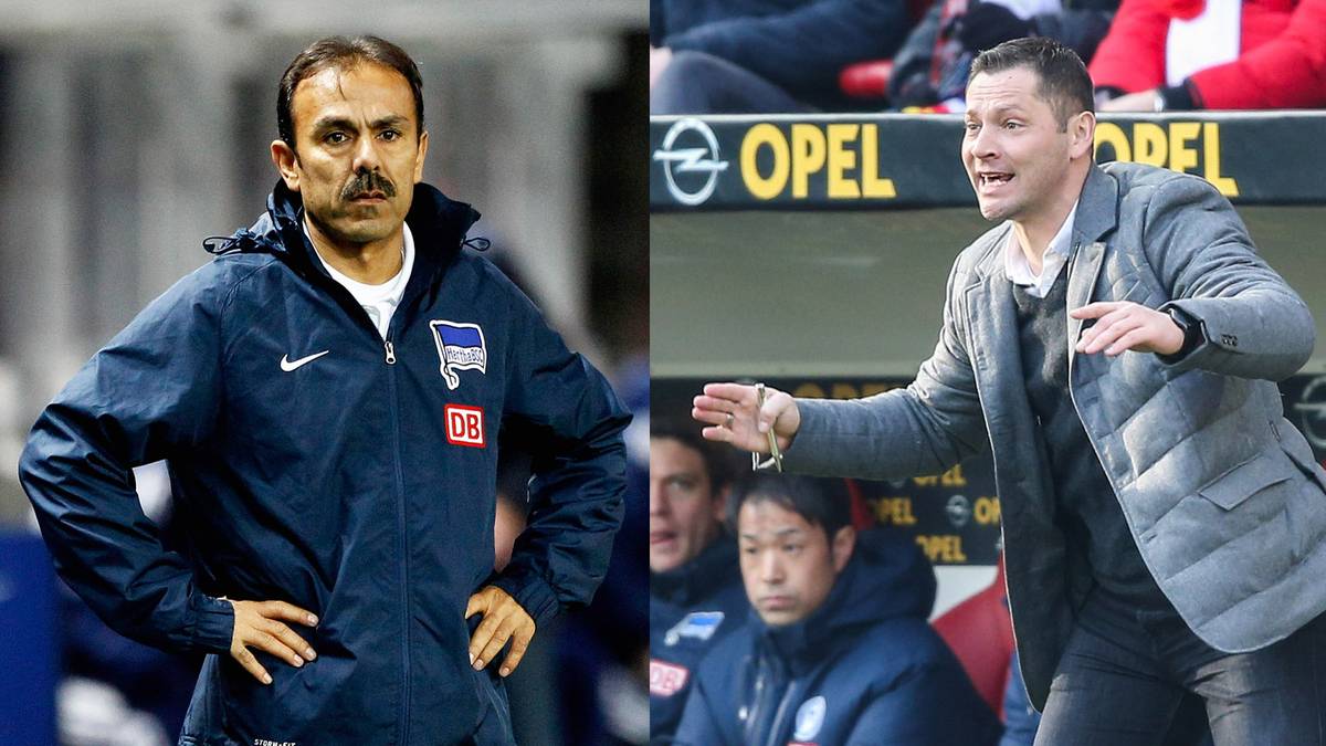 Hertha BSC: Jos Luhukay (l.), bis 5. Februar 2015 - Nachfolger: Pal Dardai