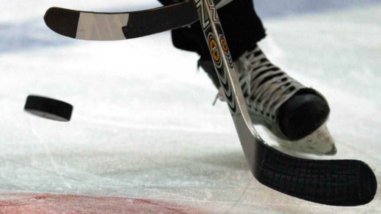 Zwei Bewerber für Eishockey-WM 2021