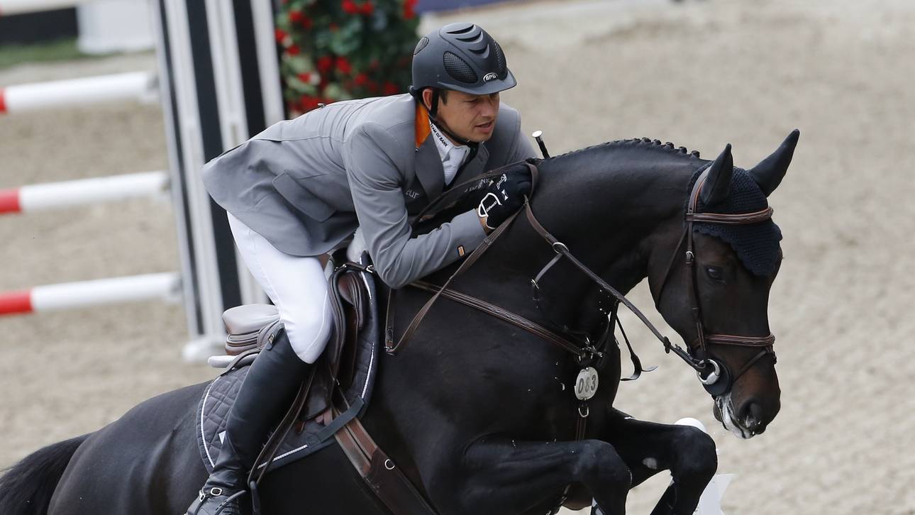 Kutschers Wallach in der Klinik